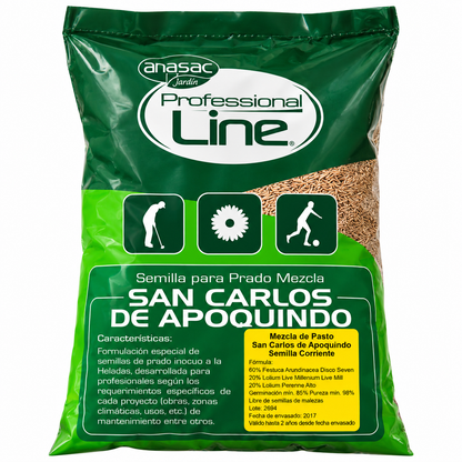 Semilla de P. San carlos de Apoquindo (Premium) 1 Kg